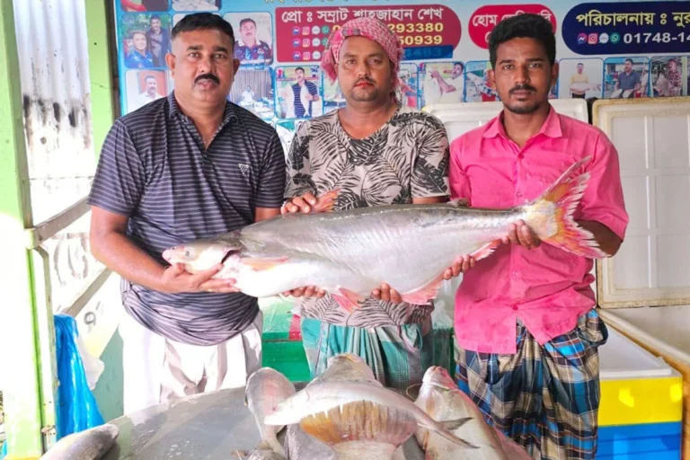 1762059883-af32e1b46c6021f49dd1af4ba3396611