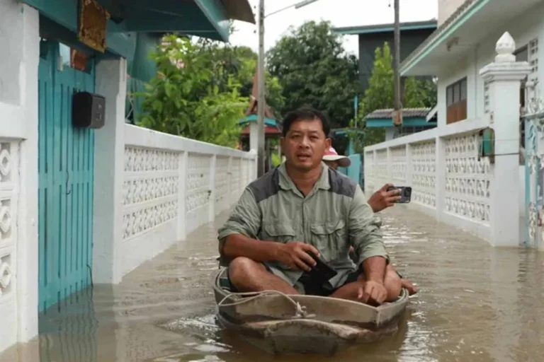 1762496386-1b2d22a6dda8601f10033c814aa57a51