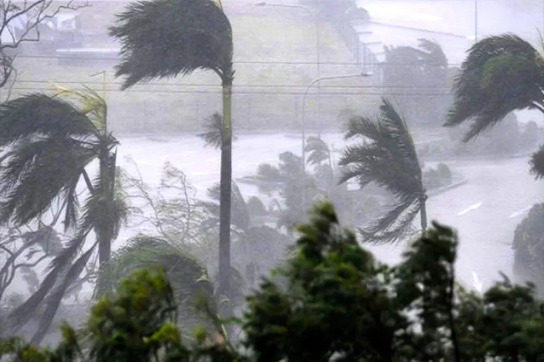 1759394071-ae8d1cc2b11932a1a07b2cf3499a7b6e