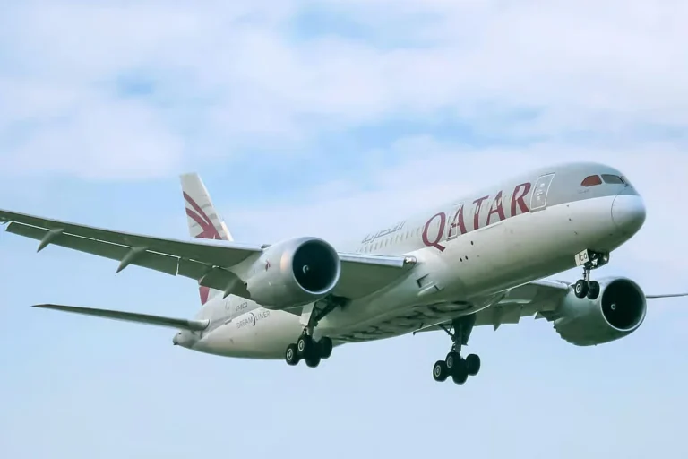 1759907100-7ae3ef5b4f121ccbfe9a392096c648a2