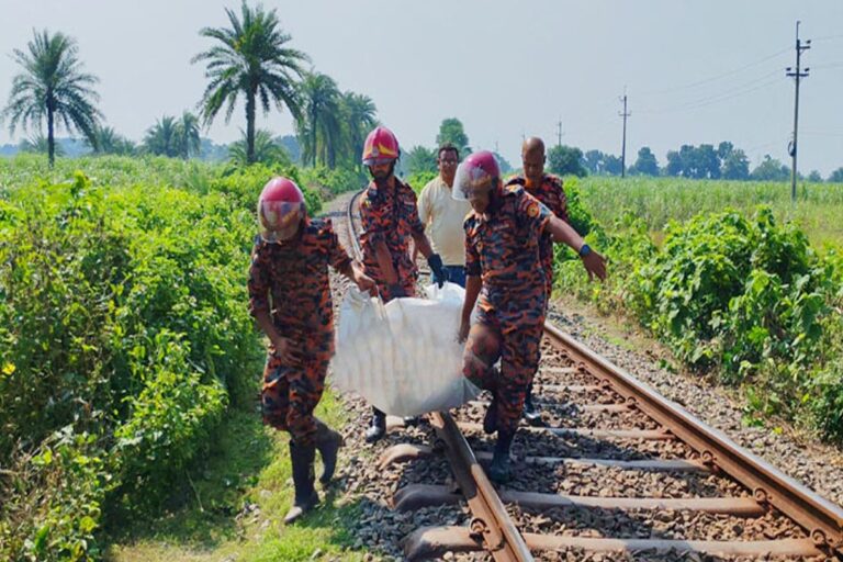 1760864511-64b8299d1597b8a5c7b9cb9c88642f6c