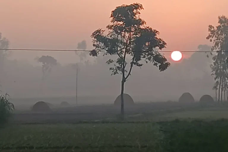 1761037220-09d102c82baa04d1f4a5cb4632755e74