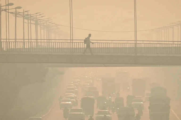 1761202164-18e2999891374a475d0687ca9f989d83