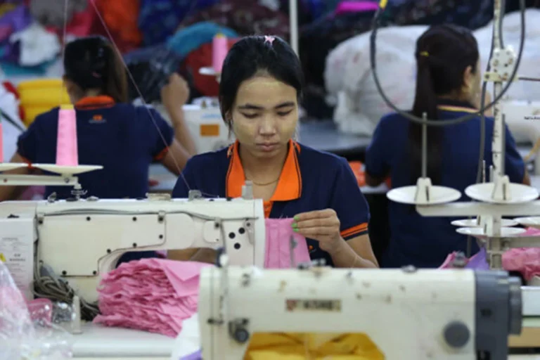 1761213893-55f168c9764a5ac87c6f4fda2d41477d