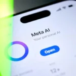 1761215079-3e47366ea6d6878560873b8b92f26011