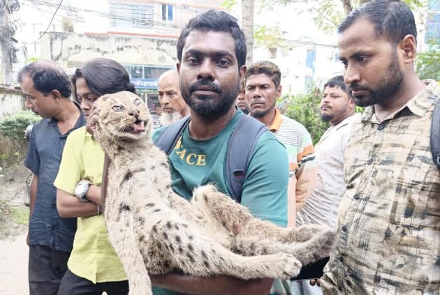 1761217659-7151184986aed9f8f418938930271d37