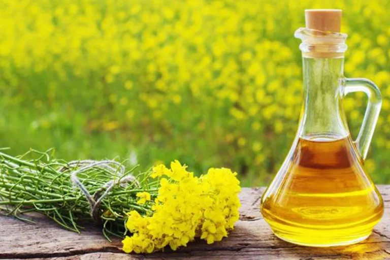 1761370938-9414a8f5b810972c3c9a0e2860c07532