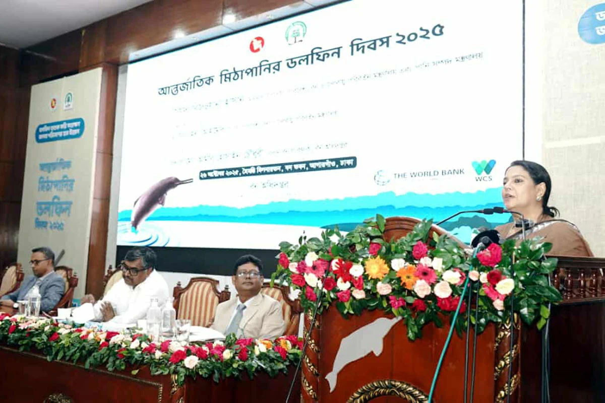 1761458595-50f02466243128de6bf6edaa94530a26