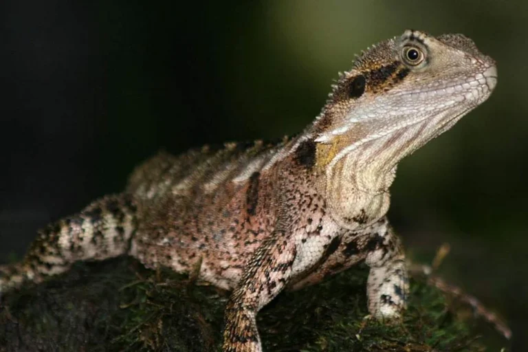 1761906130-799bad5a3b514f096e69bbc4a7896cd9