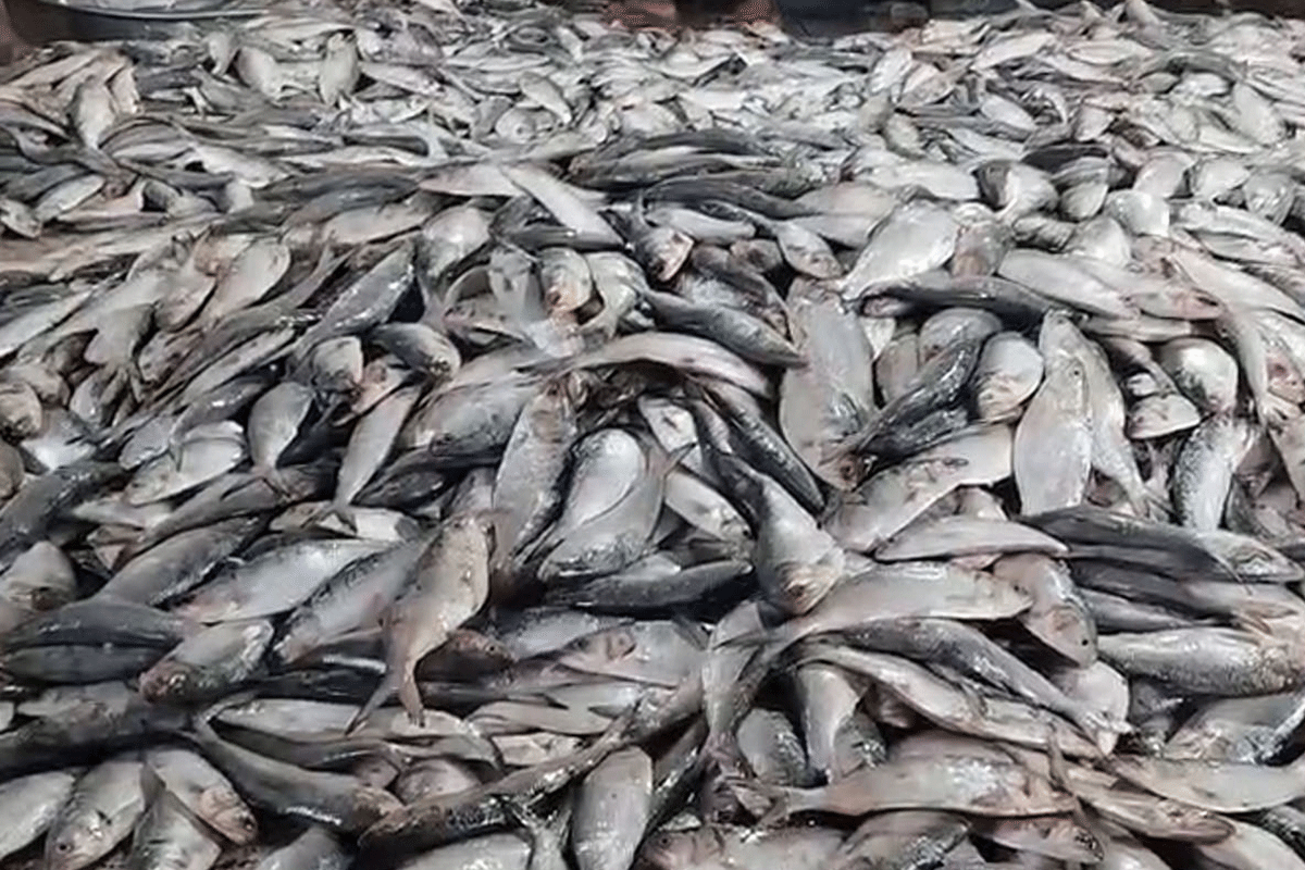 1761906817-8f173d0eaffc4b90c0c0361b8f37cc17