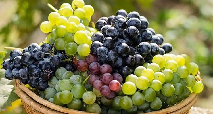 image-578298-1758708839