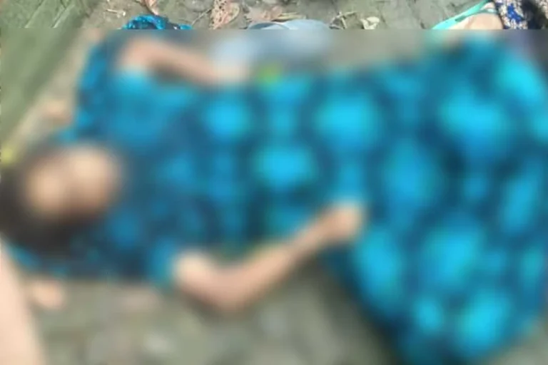 1761983965-8efece176c2695056f50846ab1ca5a55