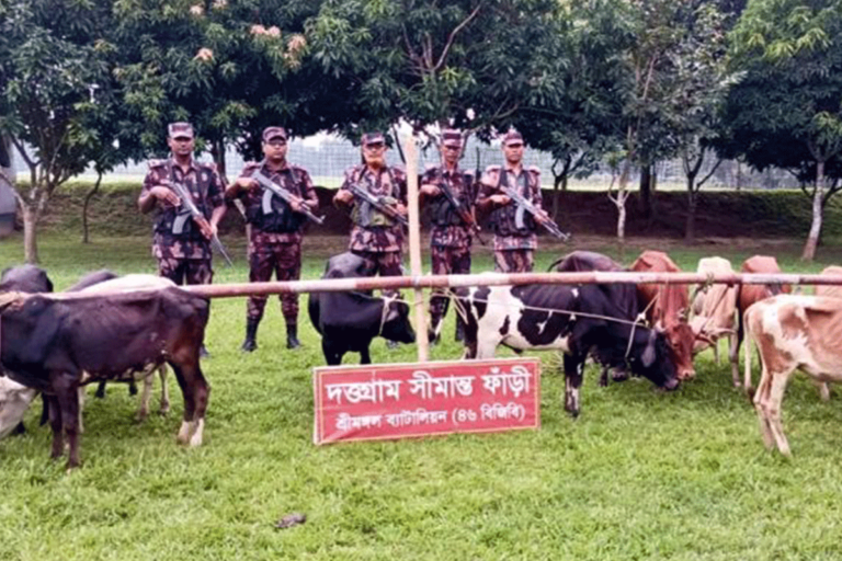 1761985822-ea2c33f007e33bf09ca81a920a60e7f7