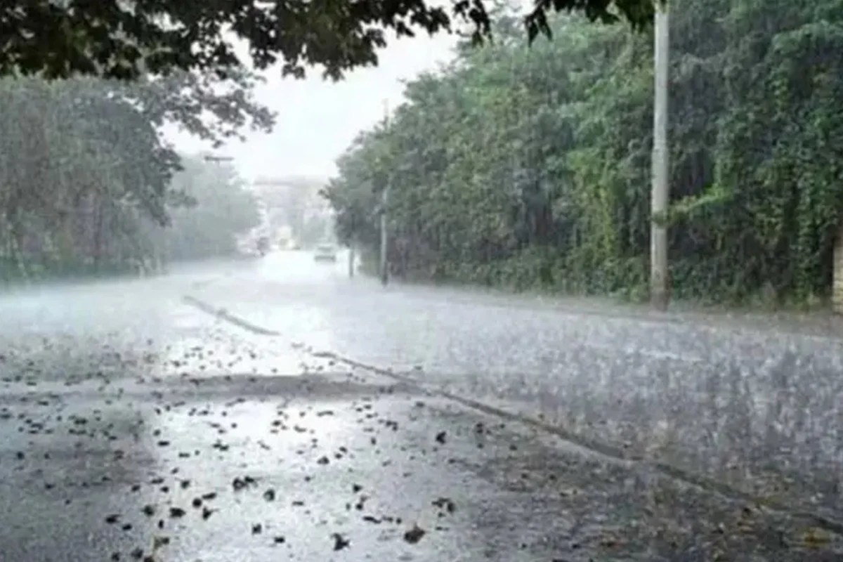 1762149733-14c190fdbb79ce8acbc1e7f176c9c6b6