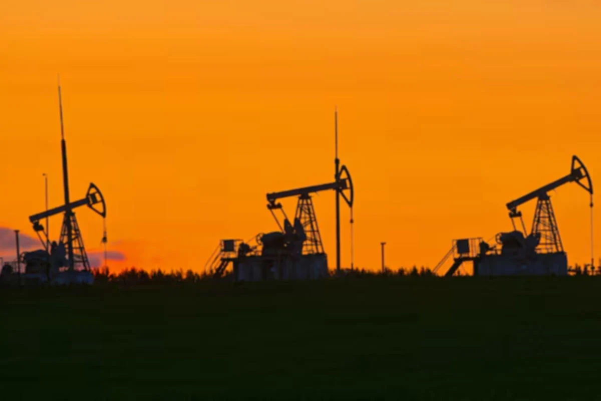 1762763926-d88a8ff5bc4f515addd76b6d8a74292c