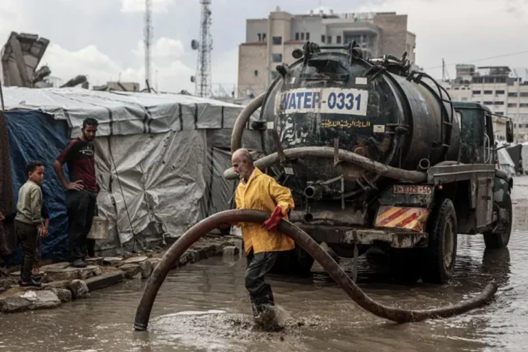 1763272100-9599951129a0a2f7361fac75032b9720