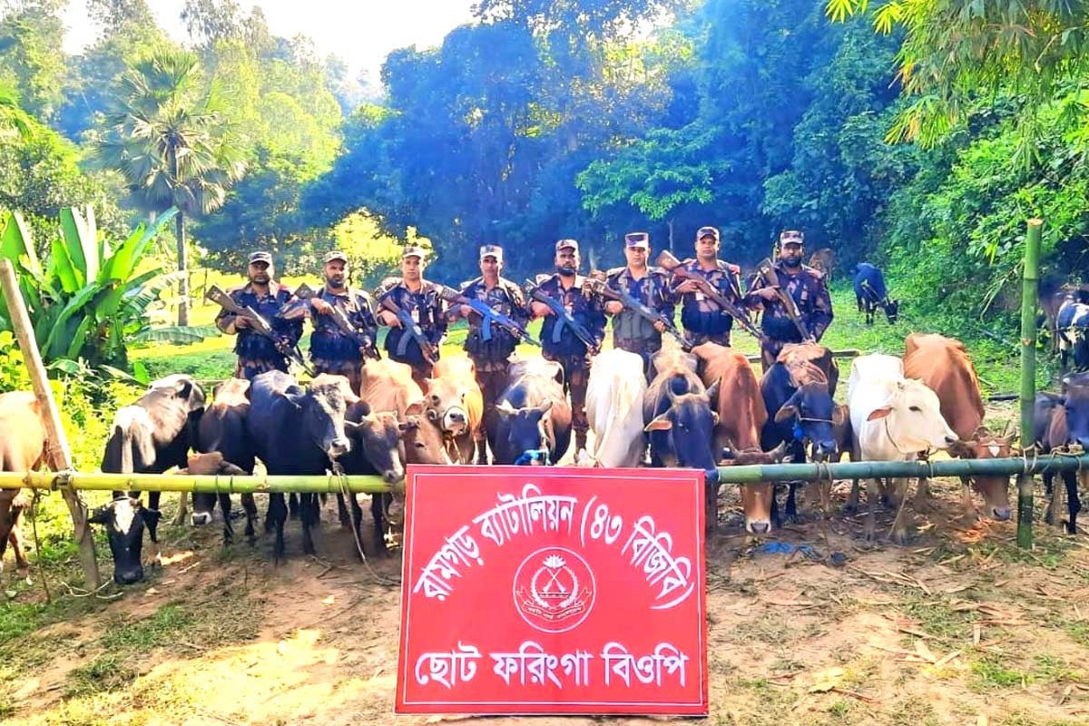 1763812419-a49b1b3346741328204df19072dfff23