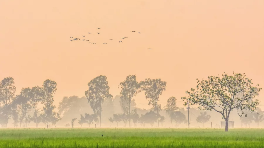 8503b444a48d7035fbb8e4477babd3cd-690c3067a8fb7