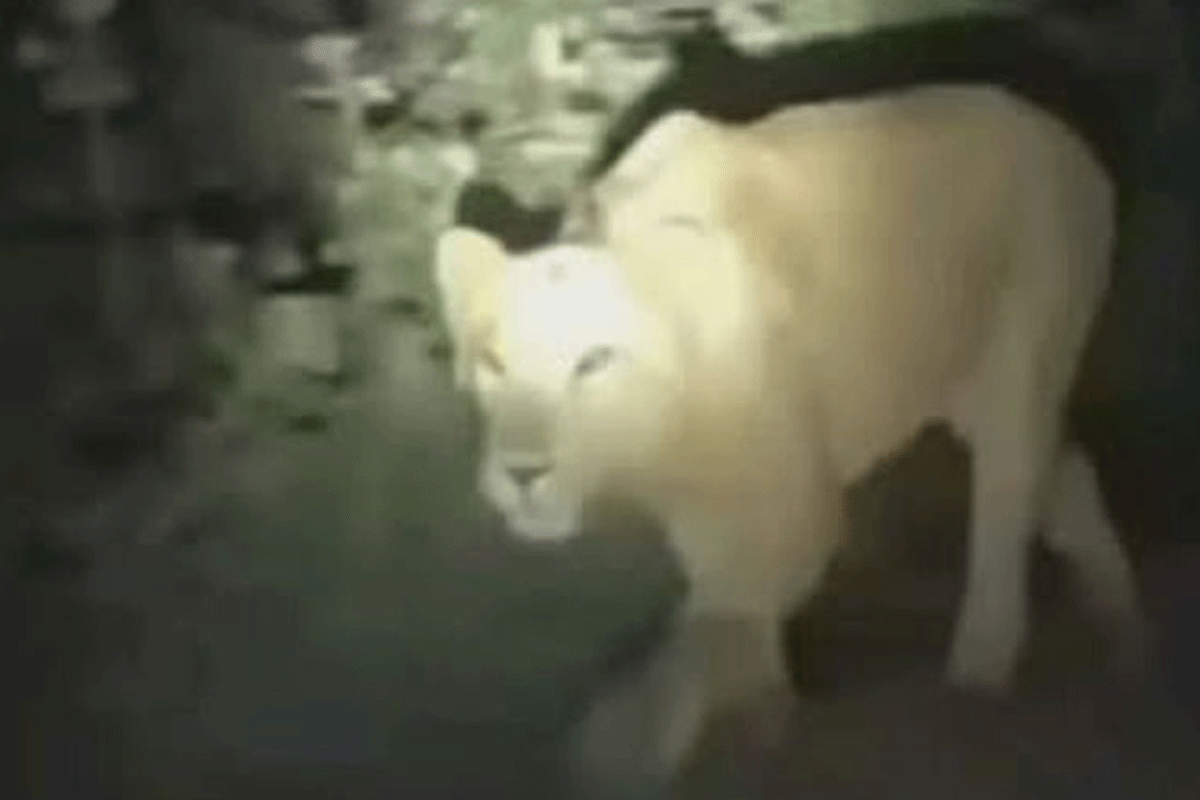 1764943992-246ed95454d12f21d9fc0259316b750d