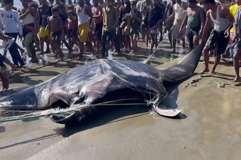 1765116751-0de5ee341f2ba0d57fd0ba7f9384ea2a