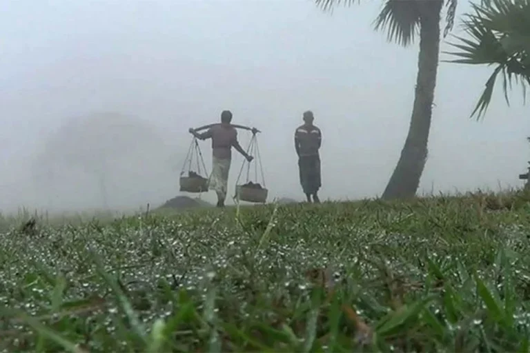 1766553912-6930cd41f17351d1030648bfd3dace13