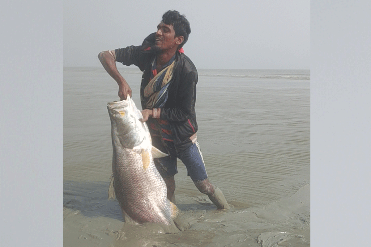 1766759765-84f7247f3b4764f31ec8201051b4ba7b