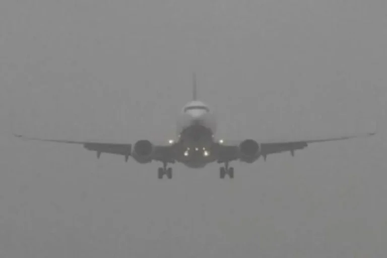 1766814704-6faef9a9ece103a52f156515191a4292