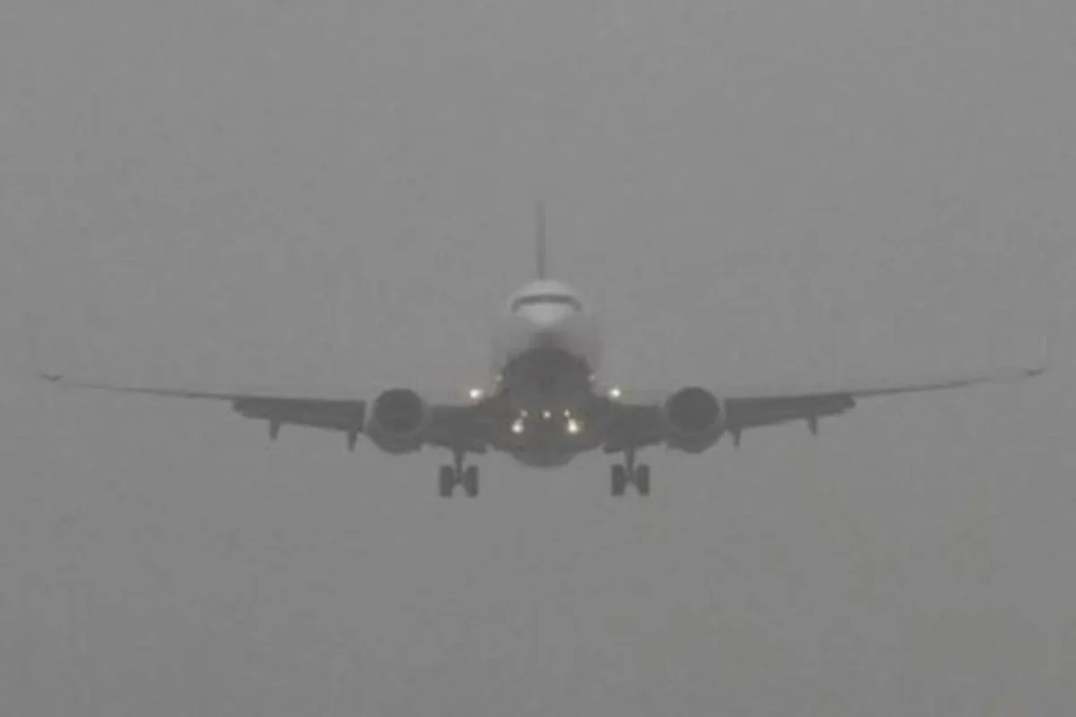 1766814704-6faef9a9ece103a52f156515191a4292