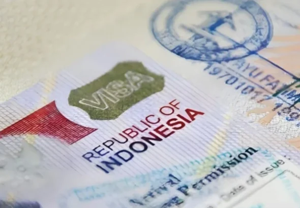 1767246128-ff516fcea8a015625afc66dcb806232b