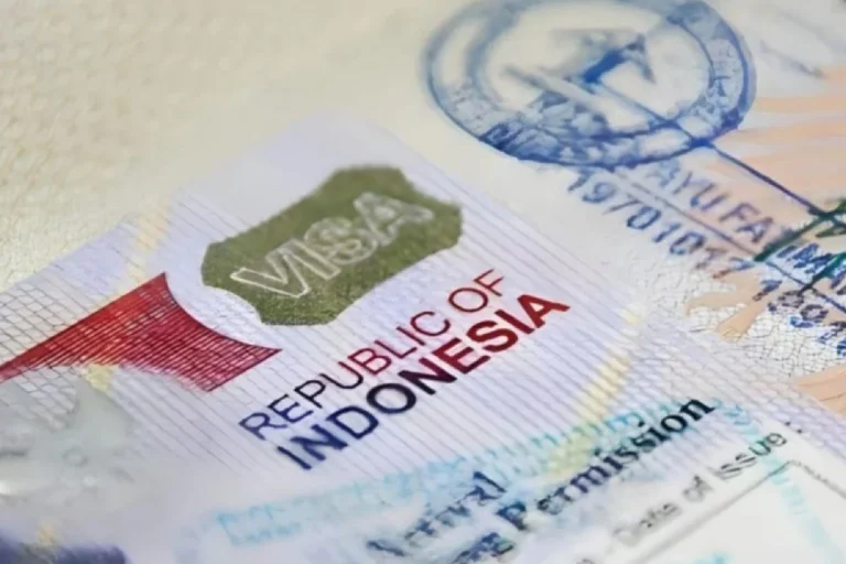 1767246128-ff516fcea8a015625afc66dcb806232b