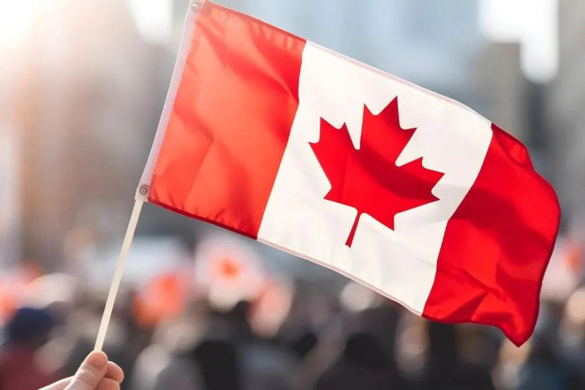 1767421904-217479a24f5b98bcd9028a1675b0f69e