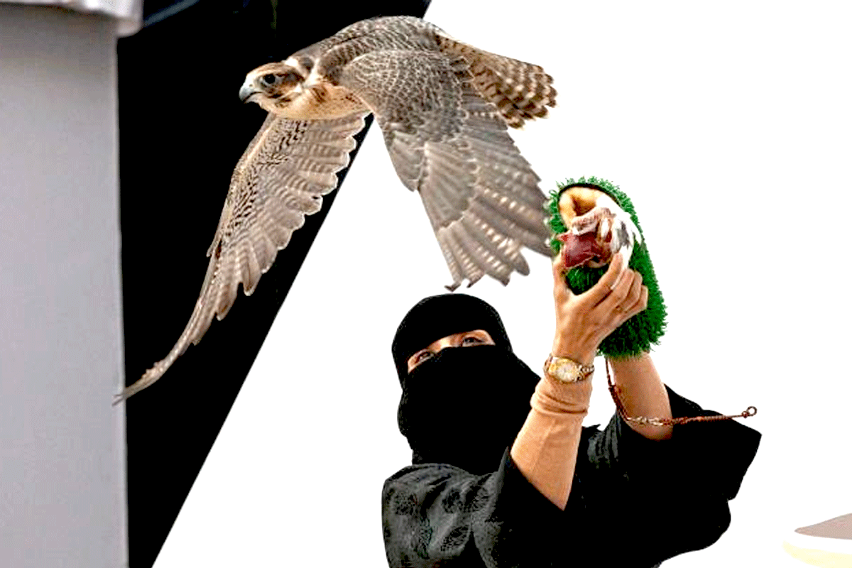 1767515091-5e38cfc3b98242880fe5122f8ad17992