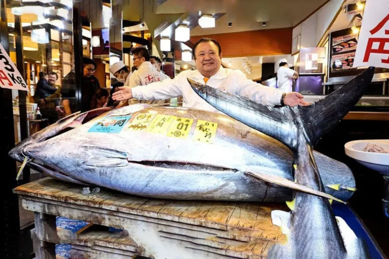 1767628944-46b4b0580075b7ee7fe10acb21be7935