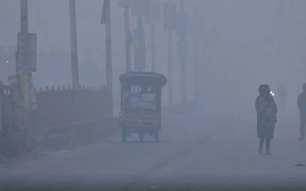 1768016794-d910c0bfa749cd12cea822ced3c1f8b7