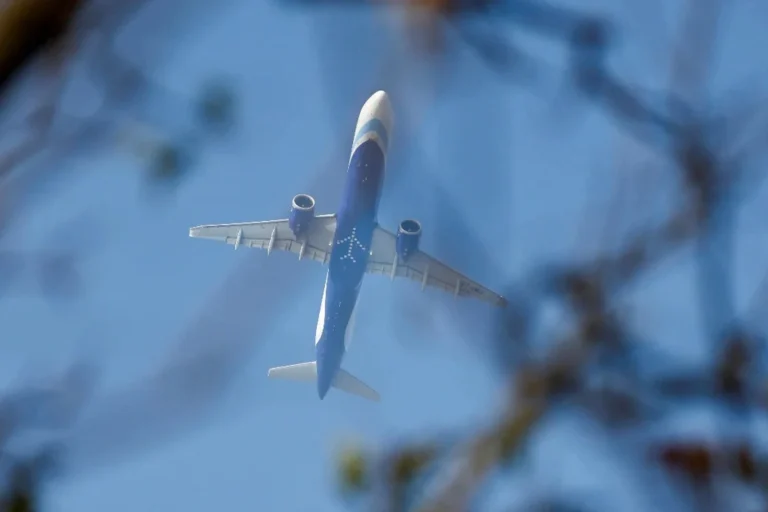 1768459867-18e2999891374a475d0687ca9f989d83