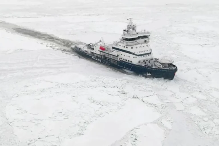 1768825943-36c4e110a63712d89f67b227c358fcab