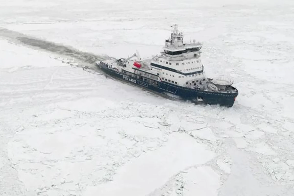 1768825943-36c4e110a63712d89f67b227c358fcab