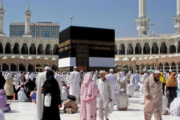 1769233178-d910c0bfa749cd12cea822ced3c1f8b7