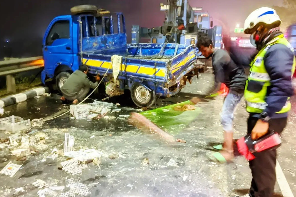 1769319893-3d8e16cd40df0ddcb466d1a9cd96ddef