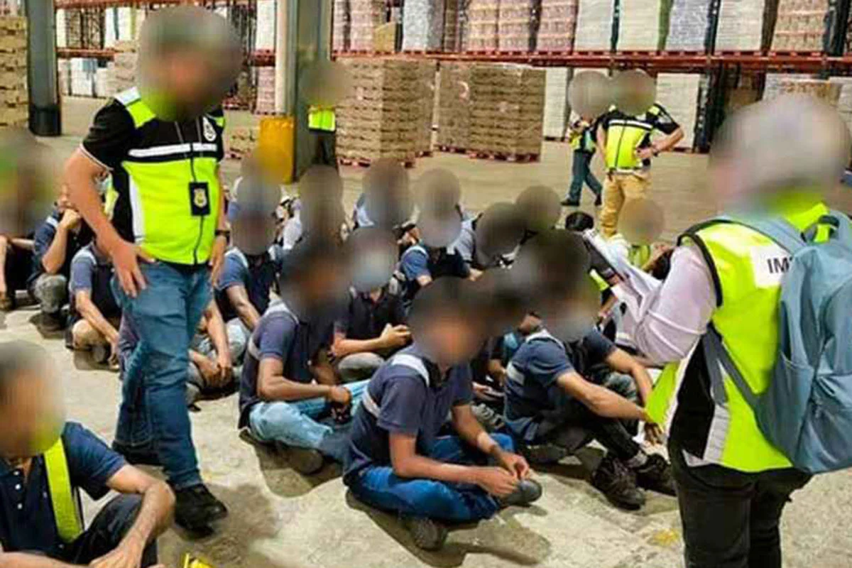 1769746784-85708871288da7b0449fad6063199778