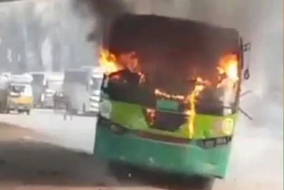 1769752397-08272a18de54e3cc44e7386092f25b49