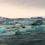 1771162654-80f6957f3b12b6d9b61ba3d75c050bd3