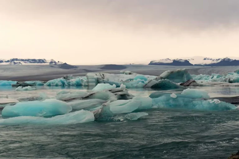 1771162654-80f6957f3b12b6d9b61ba3d75c050bd3