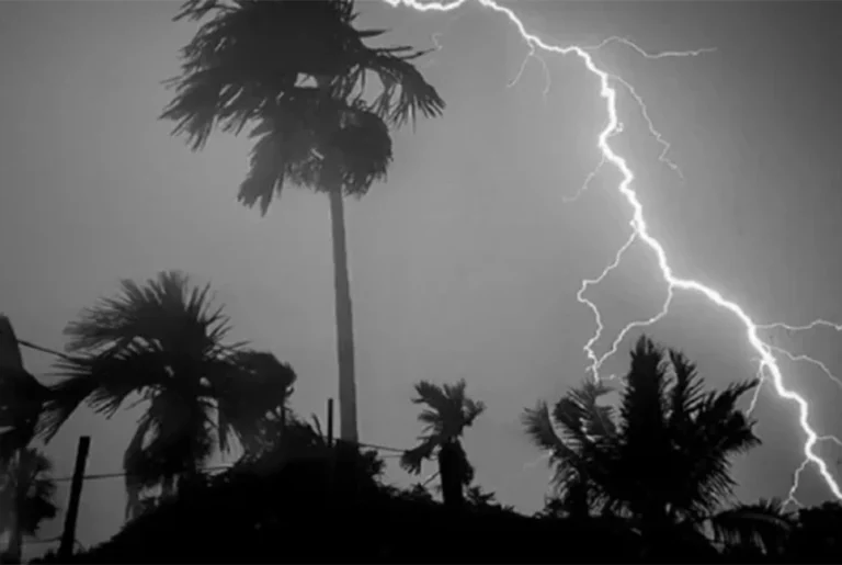 1772526048-8b4b388ca56f973f5e97cb79bcc8da52